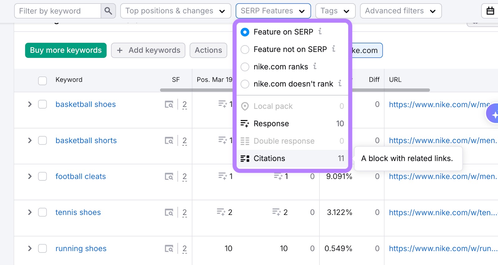 AI Search in Position Tracking (Prompt Tracking) image 10